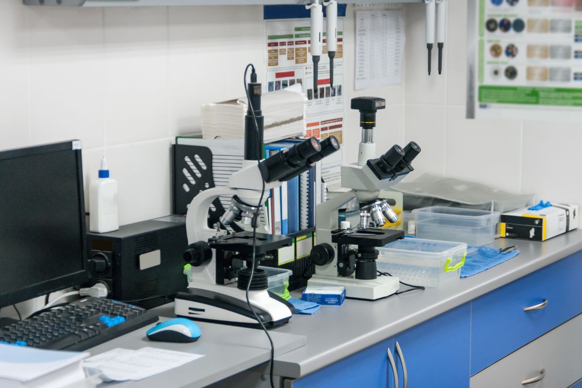 LABORATORIO veterinarioveracruzmostoles